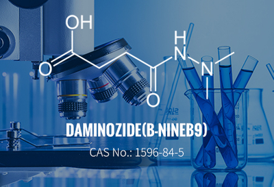 Даминоозид (B-девять / B9) CAS 1596-84-5